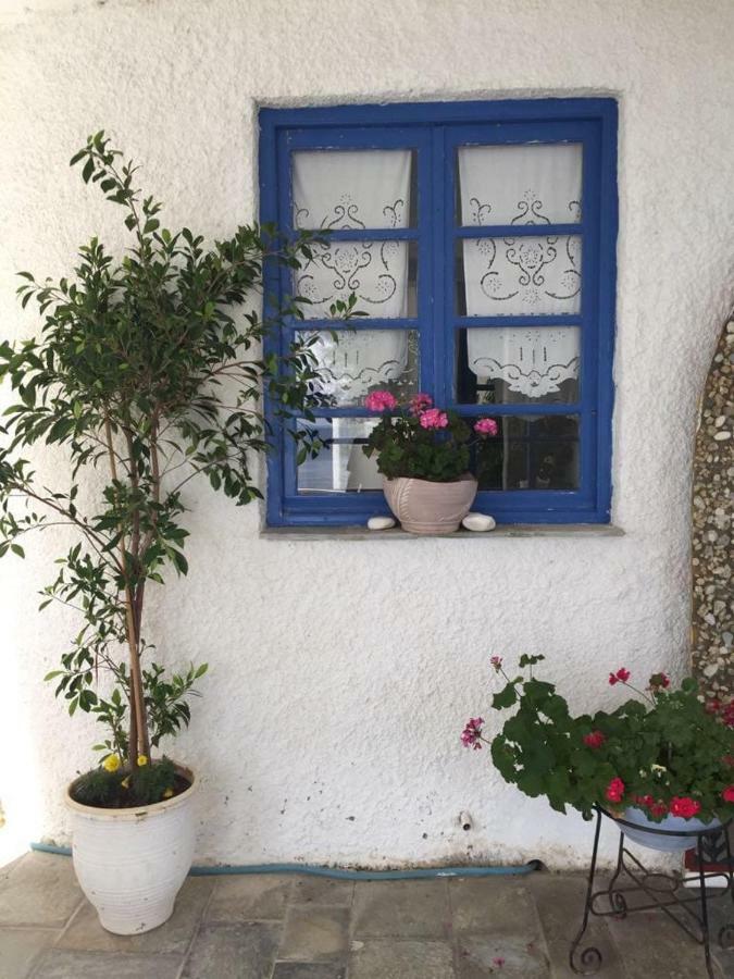 نيا ستيرا Villa Lula المظهر الخارجي الصورة